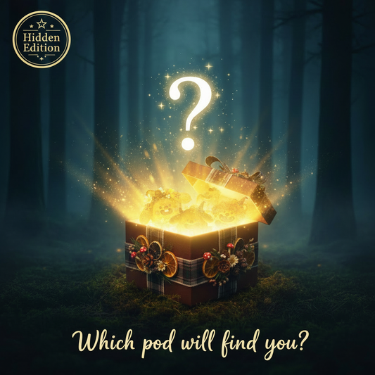 Podxie Mystery Blind Box - Enlarged